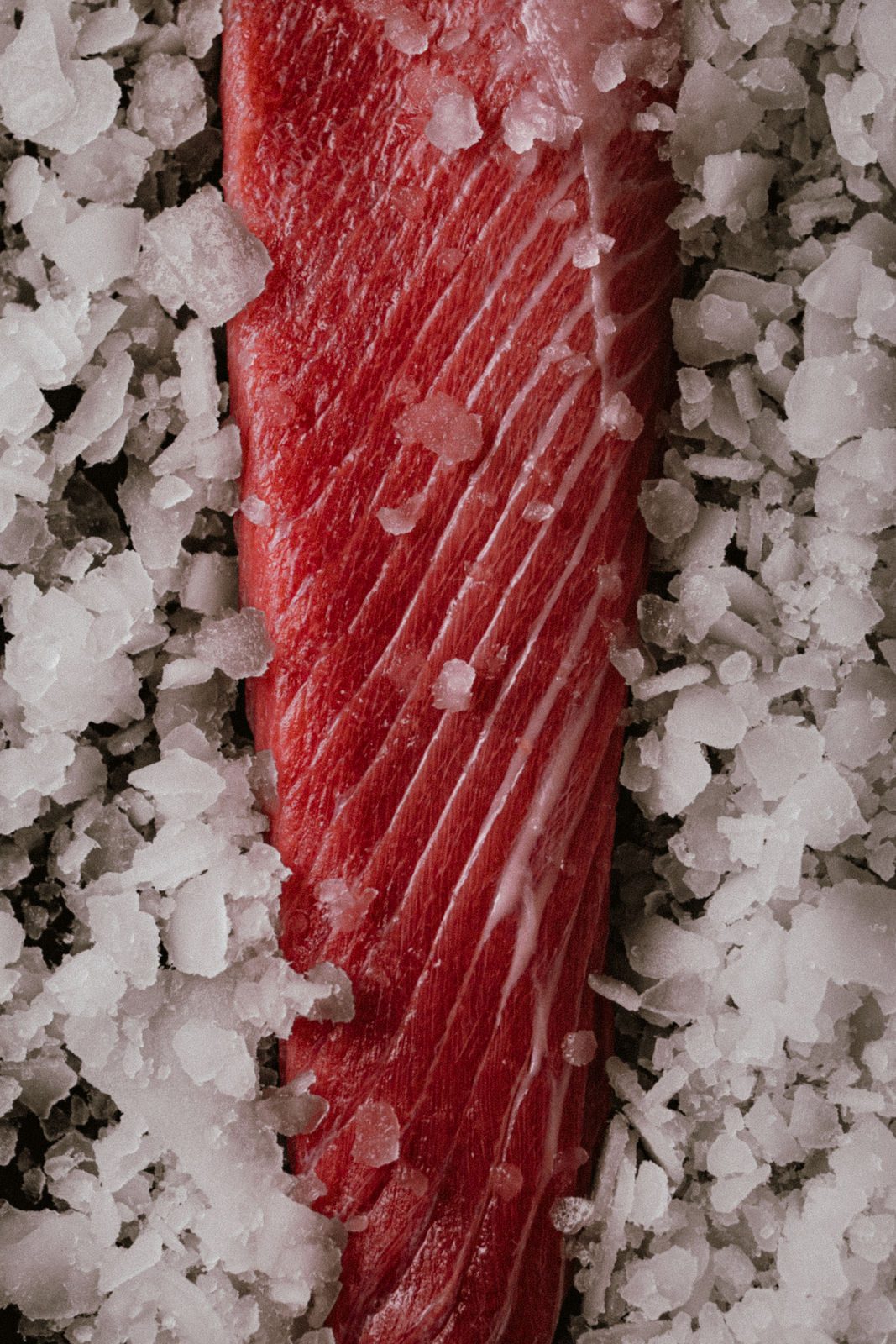 Yellowfin tuna loin resting on flake ice